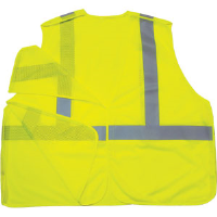 Ergodyne 21075 GloWear® 8215BA Class 2 Econo Breakaway Vest Lime, L - XL