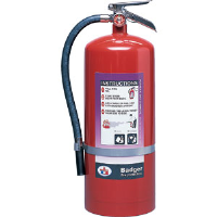 Badger 23495 20 lb BC Purple K Extinguisher w/Wall Hook