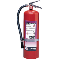 Badger 23778 10 lb BC Purple K Extinguisher w/Wall Hook
