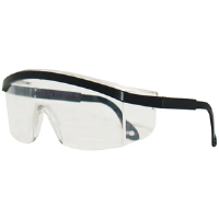 Jackson Safety 3020277 Expo™ Safety Eyewear,Black,Clear Uncoated