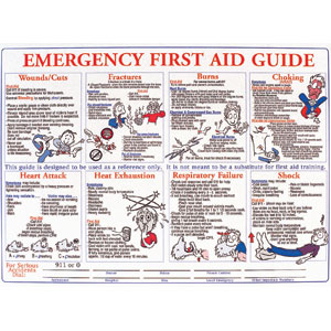Brady 45854 First Aid Training Poster