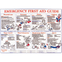 Brady 45854 First Aid Training Poster
