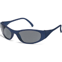 MCR Safety F2122 Frostbite 2® Safety Glasses,Blue,Gray