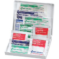 First Aid Only FAO-106 17-Piece Travel Kit, Plastic Case