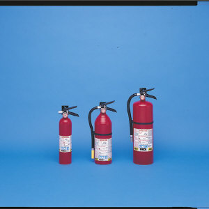 Kidde 466112 ProLine&#8482; Tri-Class Dry Chemical Fire Extinguisher, 4/5 Lb.