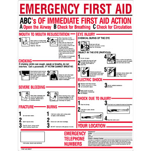 First Aid Only M5045 &#34;ABC&#39;s of Emergency First Aid&#34; Plastic Sign