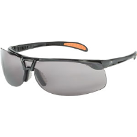Sperian S4203 Uvex® Protégé™ Safety Glasses,Black, Silver Mirror