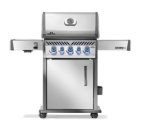 Napoleon RPS425RSIBPSS-2 Rogue PRO-S 425 RSIB - LP | Authorized Dealer