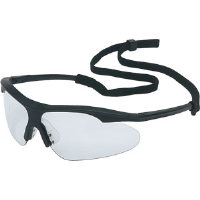 Sperian 11150504 Cruiser™ Safety Eyewear,Black, I/O Silver Mirror