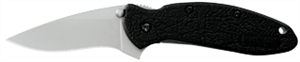 Kershaw Knives 1620 Scallion Knife - Black