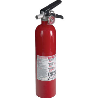 Kidde 21005776 2-1/2 lb ABC MP Pro 110 Consumer Extinguisher w/Wall Hook