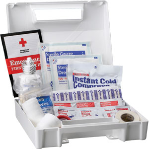 First Aid Only 223-AN 25-Person, 105-Pc. Bulk Kit, (Plastic)