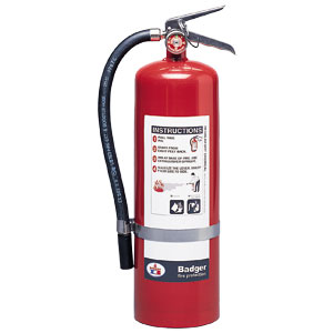 Badger 23781 10 lb BC Badger Extra Extinguisher w/Wall Hook