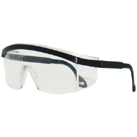 Jackson Safety 3020278 Expo™ Safety Eyewear,Black,Smoke Uncoated