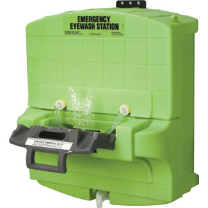Sperian 32-001000-0000 Fendall Pure Flow 1000® 15 Minute Eyewash Station Sperian 32-001000-0000 Fendall Pure Flow 1000® 15 Minute Eyewash Station
