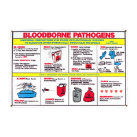 Brady 45849 Biohazard Safety Poster