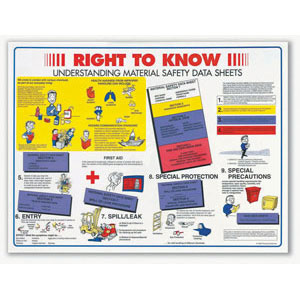 Brady 53201 Right-To-Know Spanish Poster, 24&#34;W X 18&#34;