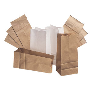 Duro Paper Bags GW20-500 White Tall Paper Bags, 20#