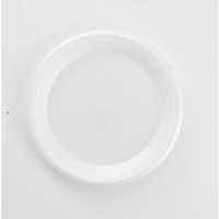 Boardwalk 9UNLAM Non-Laminated 9" Foam Dinnerware, 500/Cs.