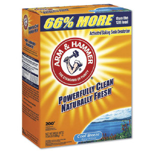 Arm & Hammer 6220 Cool Breeze Powder Laundry Detergent