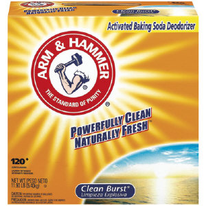 Arm &amp; Hammer 6296 Clean Burst&#174; Powder Laundry Detergent