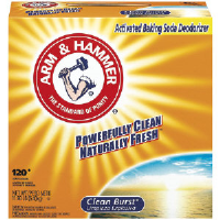 Arm & Hammer 6296 Clean Burst® Powder Laundry Detergent