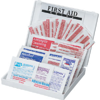 First Aid Only FAO-112 33-Piece All-Purpose Kit, Plastic Case