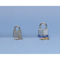 Master Lock 3D 4 Pin Tumbler Padlock